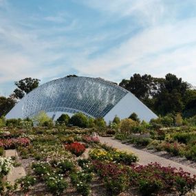 Top 10 Australian Public Gardens