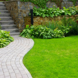 Your Gardening Questions Answered