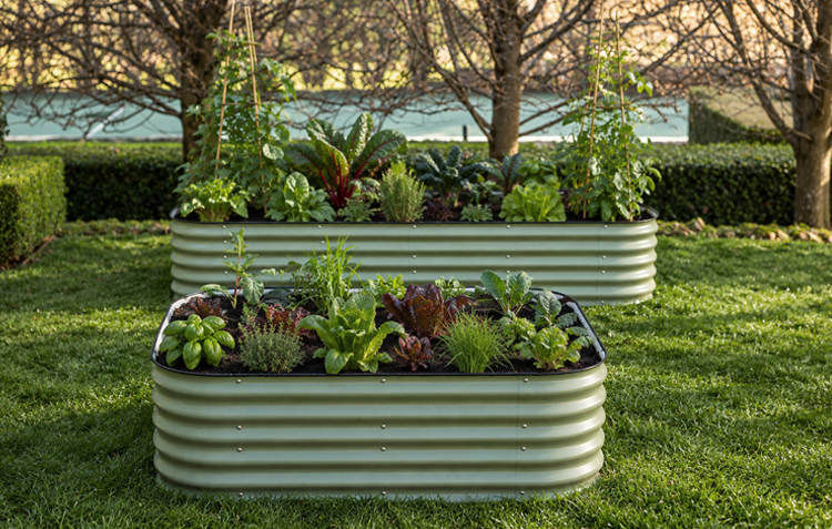 Garden beds