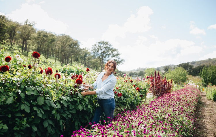 Pruning flowers on Floral By Nature Flower Farm