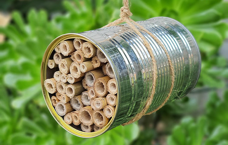 Create a DIY Bug Hotel for your Garden