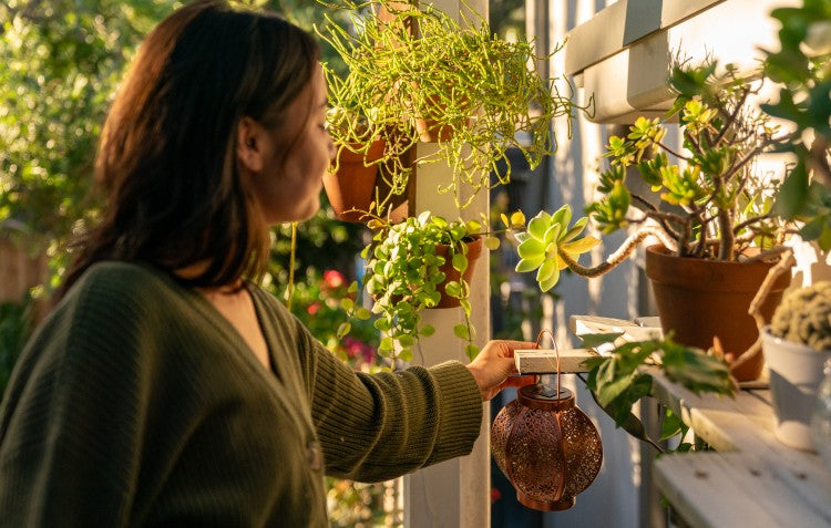 Healthy Garden, Healthy Mind