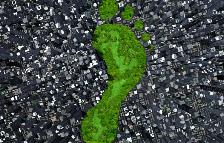 how-to-reduce-carbon-footprint