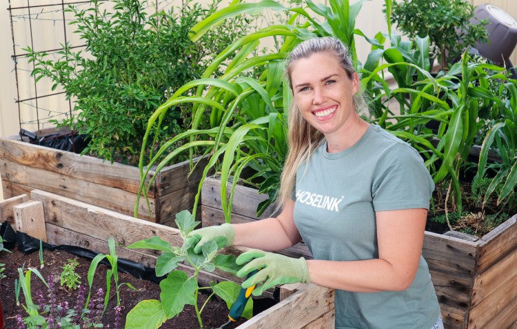 The Best Edible Plants for Urban Gardens