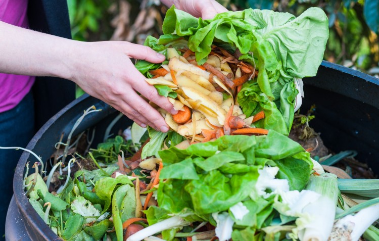 how-to-make-your-own-compost
