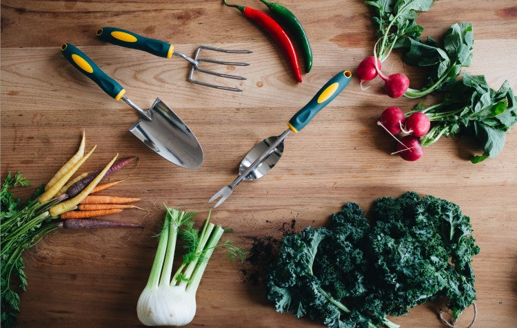 sow a summer veggie patch