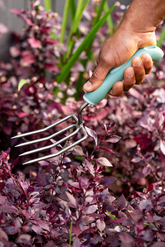 person using garden fork in garden amongst plants