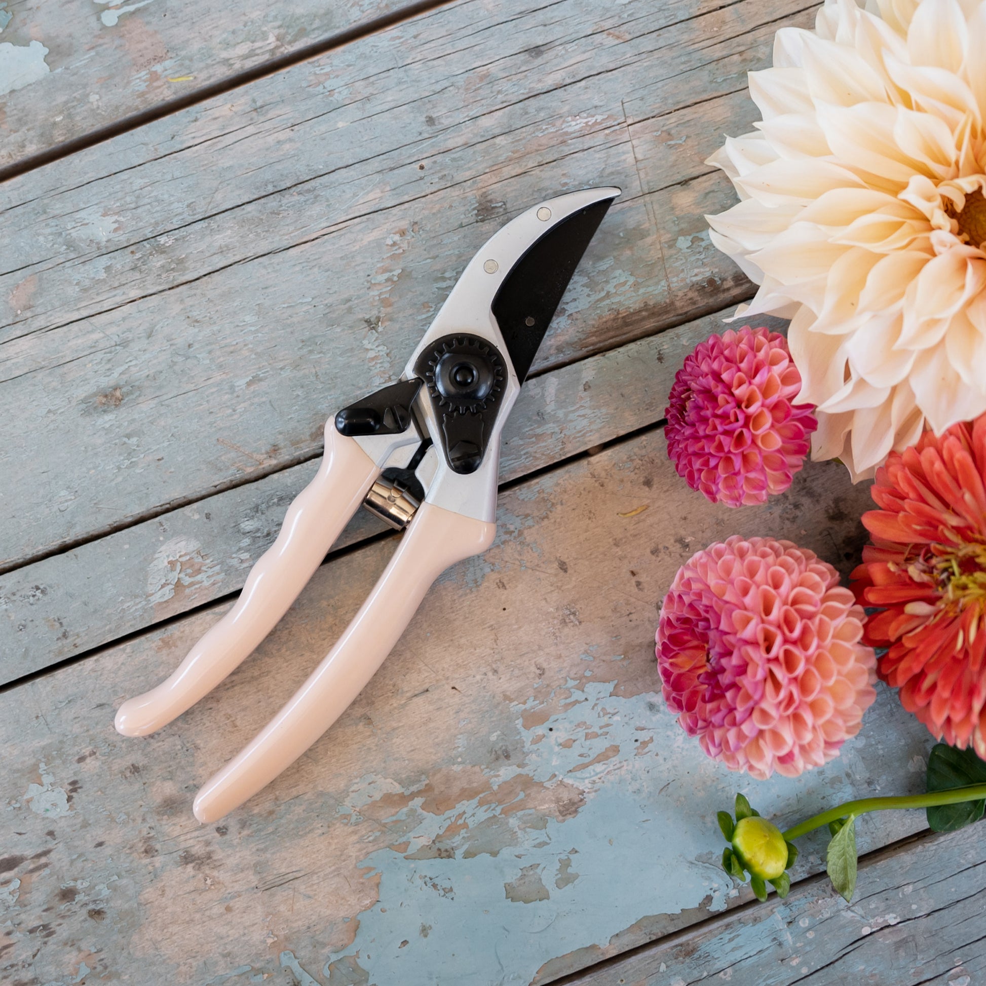 peach secateurs on a table with pink flowers next to them