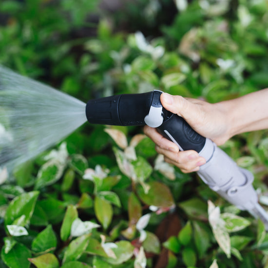 hand holding compact nozzle starter kit and watering garden 