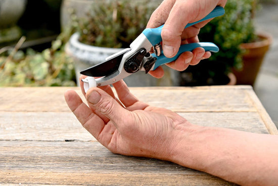 a person cutting a split ring using secateurs