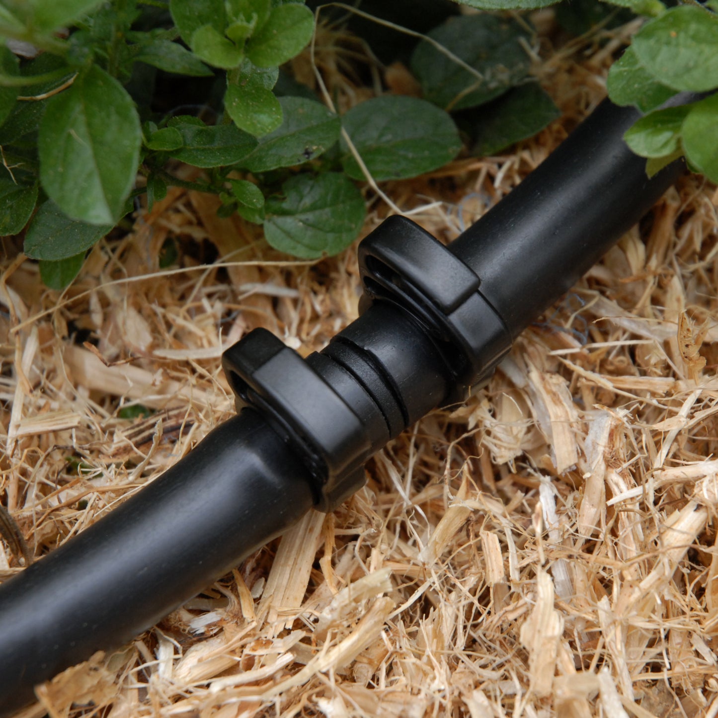 Cloes-up of black irrigation joiner secured in place with two 13mm ratchet clamps laying straw mulch