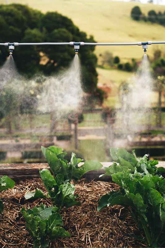 An image of lettuces in a garden bed and mountains in the background and a thin hose pipe above with three misting heads delivering a fine spray of water over the plants.