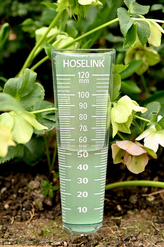 rain gauge in garden measuring rain level