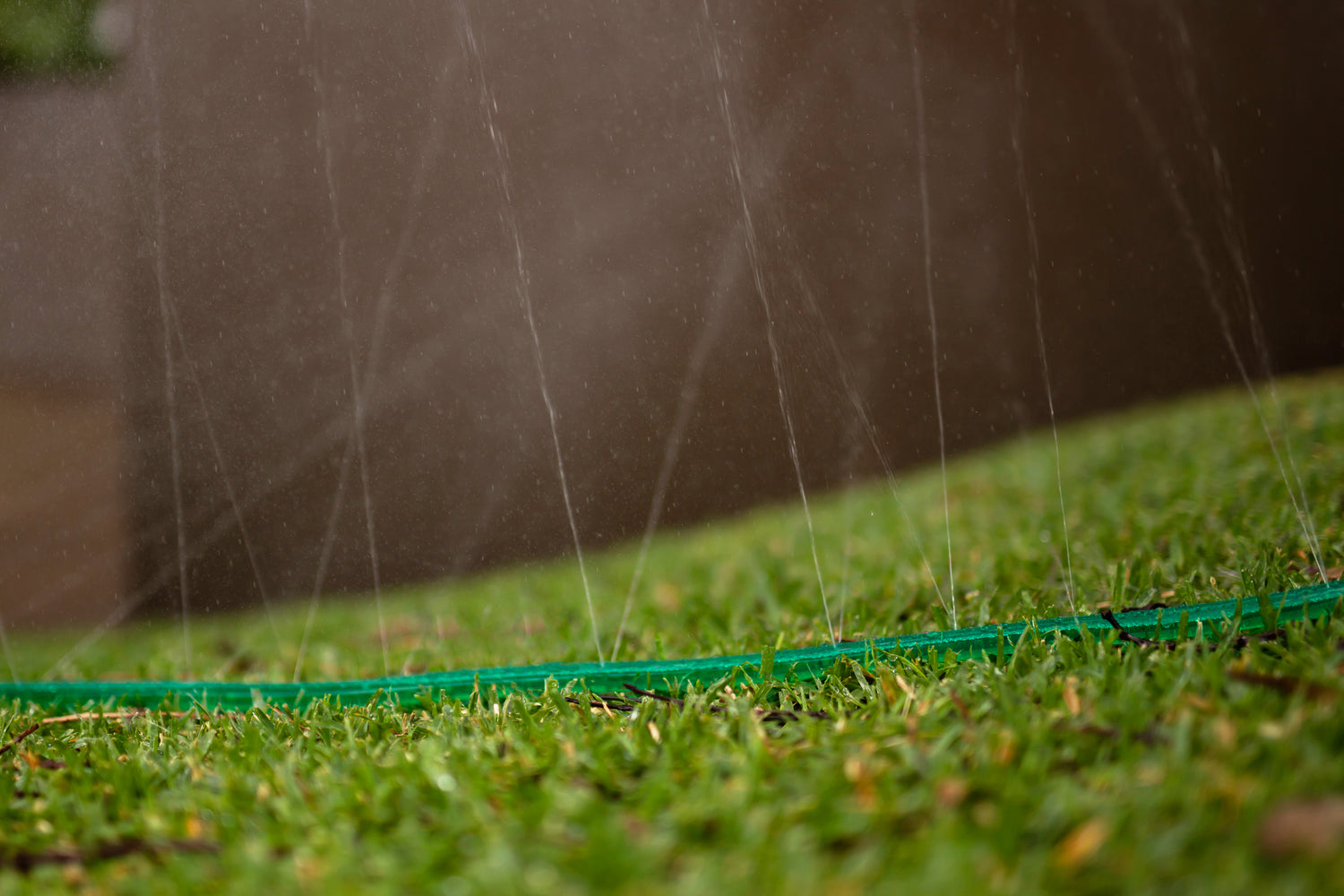 Hoselink soaker hose being used on a lawn