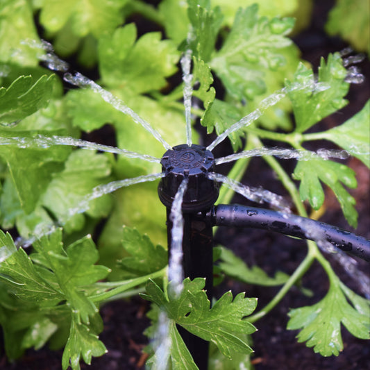 Adjustable drip head watring corriandar in a garden bed