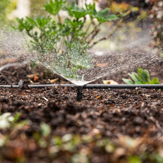 Adjustable spray spike watering a garden bed with plants and soil.