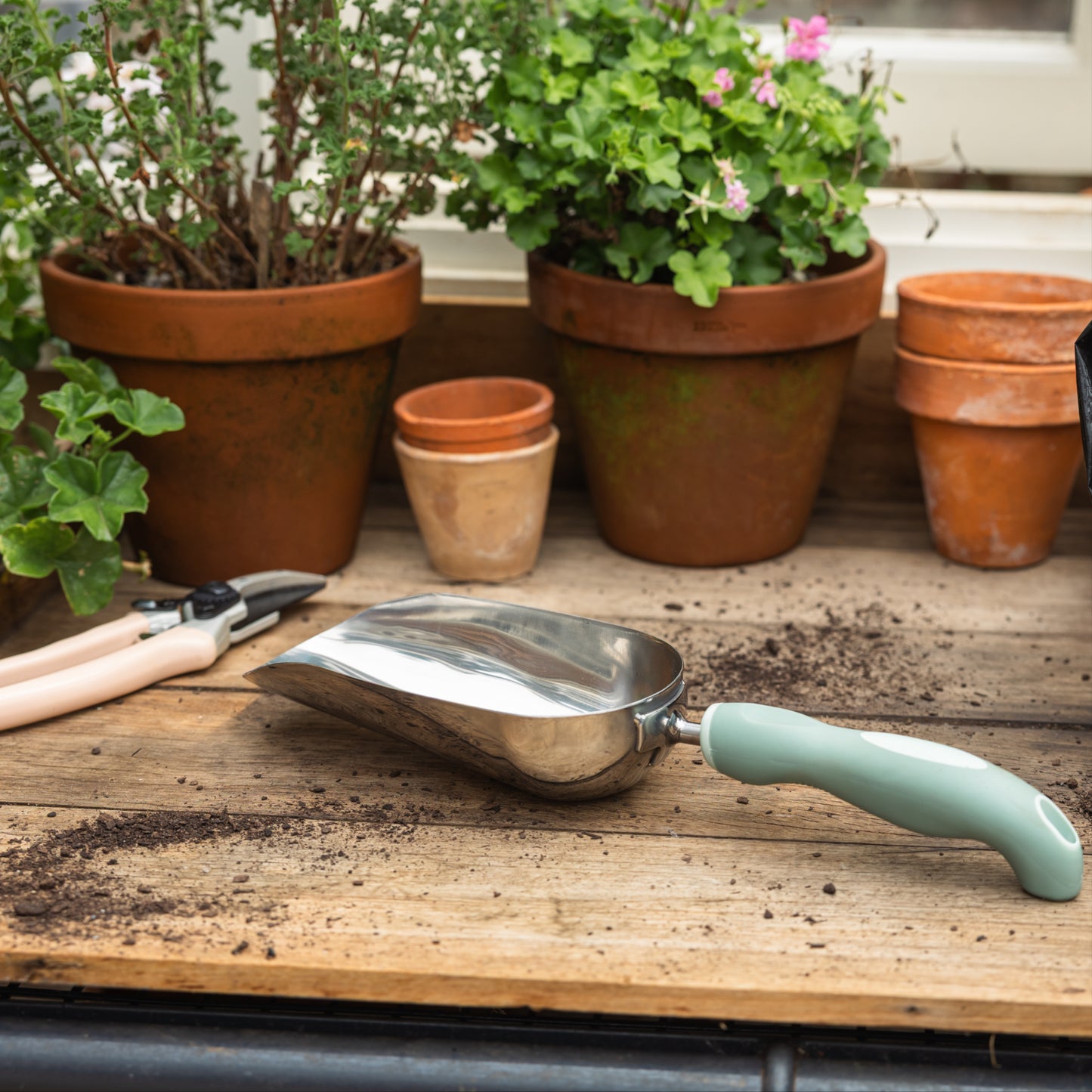 Large potting scoop in front of six clay pots