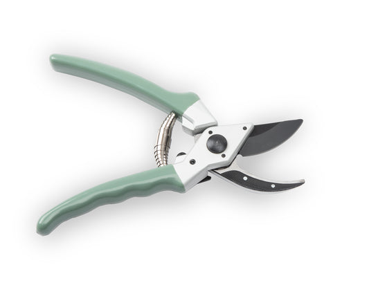 Secateurs 225mm | Sage