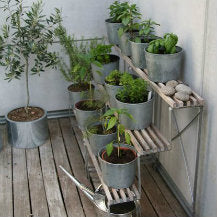 Gardening without a Garden