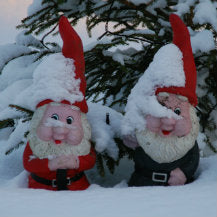 Winter Gardening