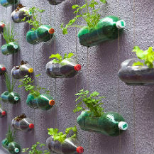 Tips For Productive Vertical Gardening