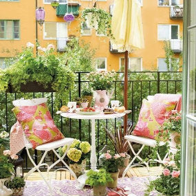 10 Plants for an Urban Balcony