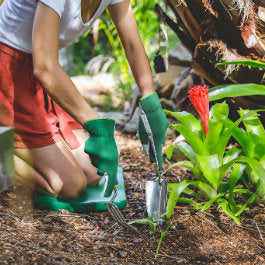 Top Tips for a Weed-free Backyard
