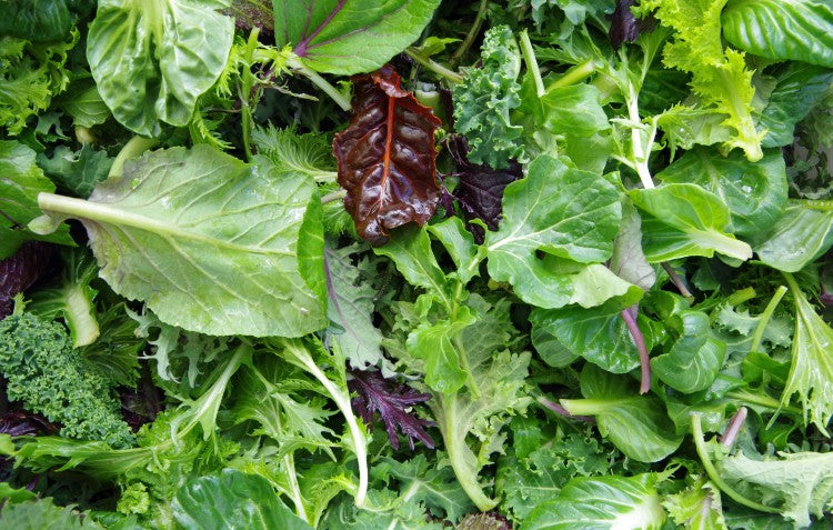 Sow & Grow: Salad