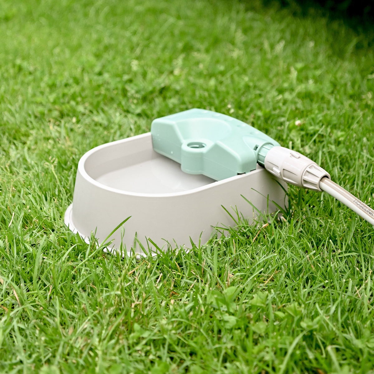 Dog drinking from a Hoselink Auto-fill Pet Water Bowl connected to a garden hose on a lawn