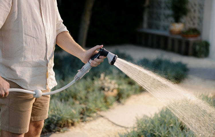 Surviving the Heat: How to Protect Your Garden in a Heatwave