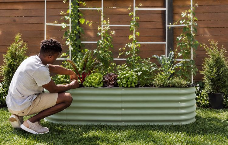 Garden bed with trellis