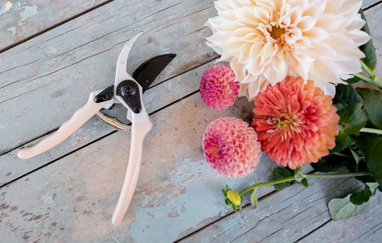 Secateurs with flowers