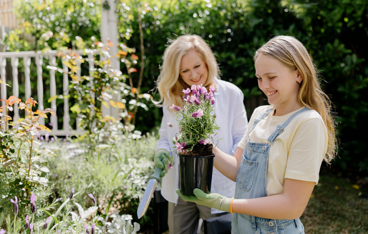 planting flowers