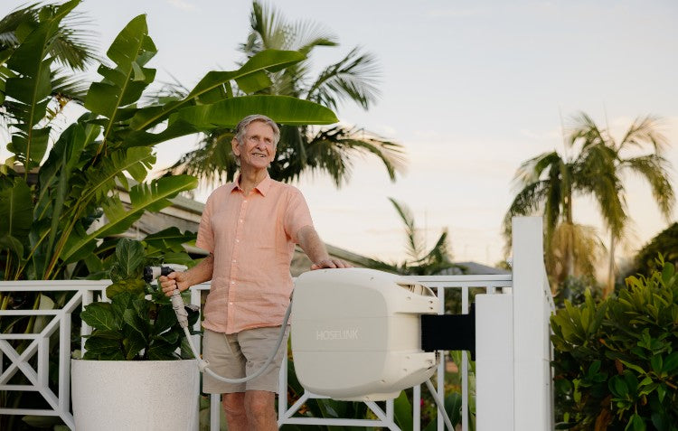 The Ultimate Guide to Palm Trees