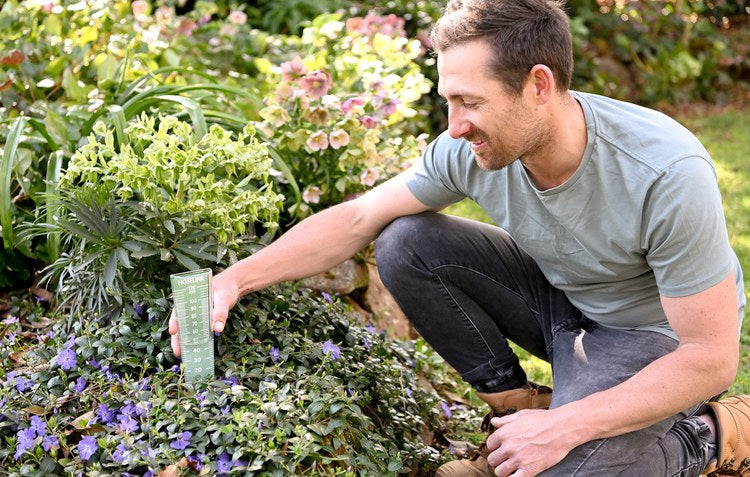 How Much Rain Did Your Garden Actually Get?