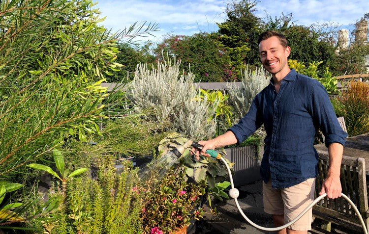 watering plants on a balcony