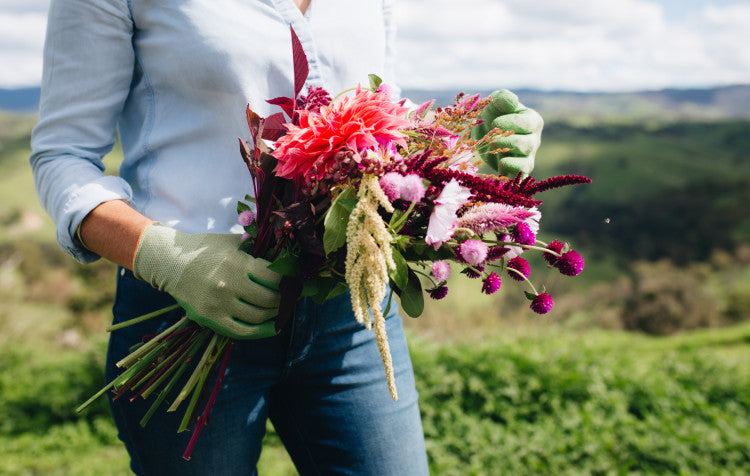 How to prolong the life of your cut flowers