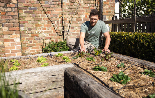 Irrigation Kits: Everything you need to know