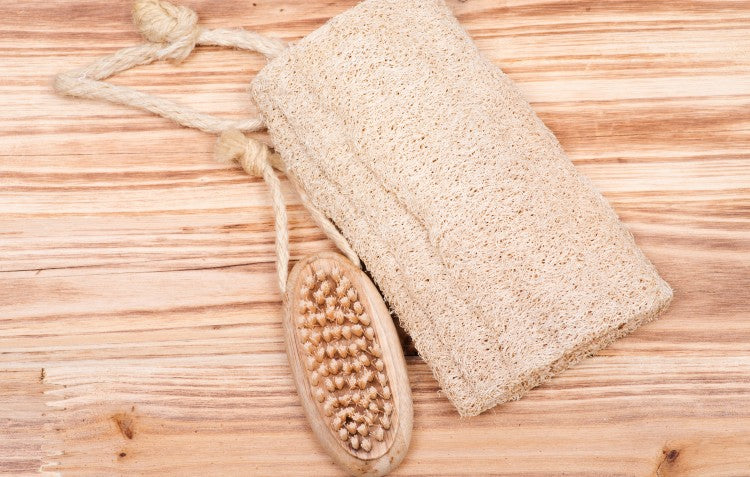 grow your own useful loofah