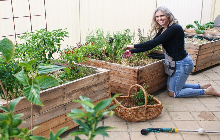 How to Start Growing Food Naturally and Sustainably