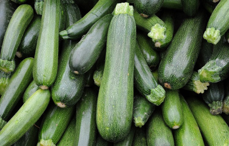 beginners-guide-to-growing-zucchini