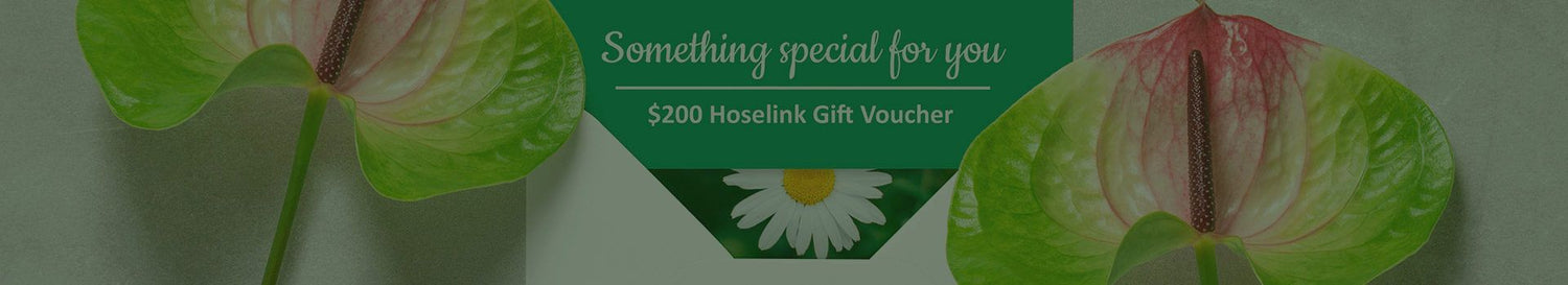 Gift Vouchers