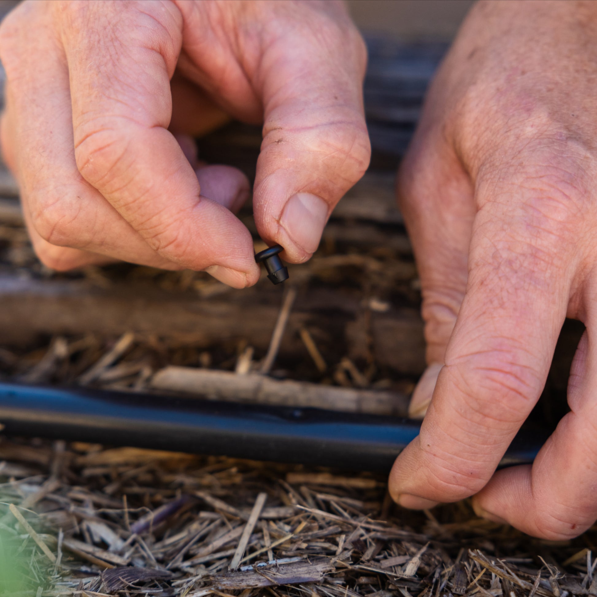 Hand holding a single goof plug about to install it into a hole in irrigation tubing