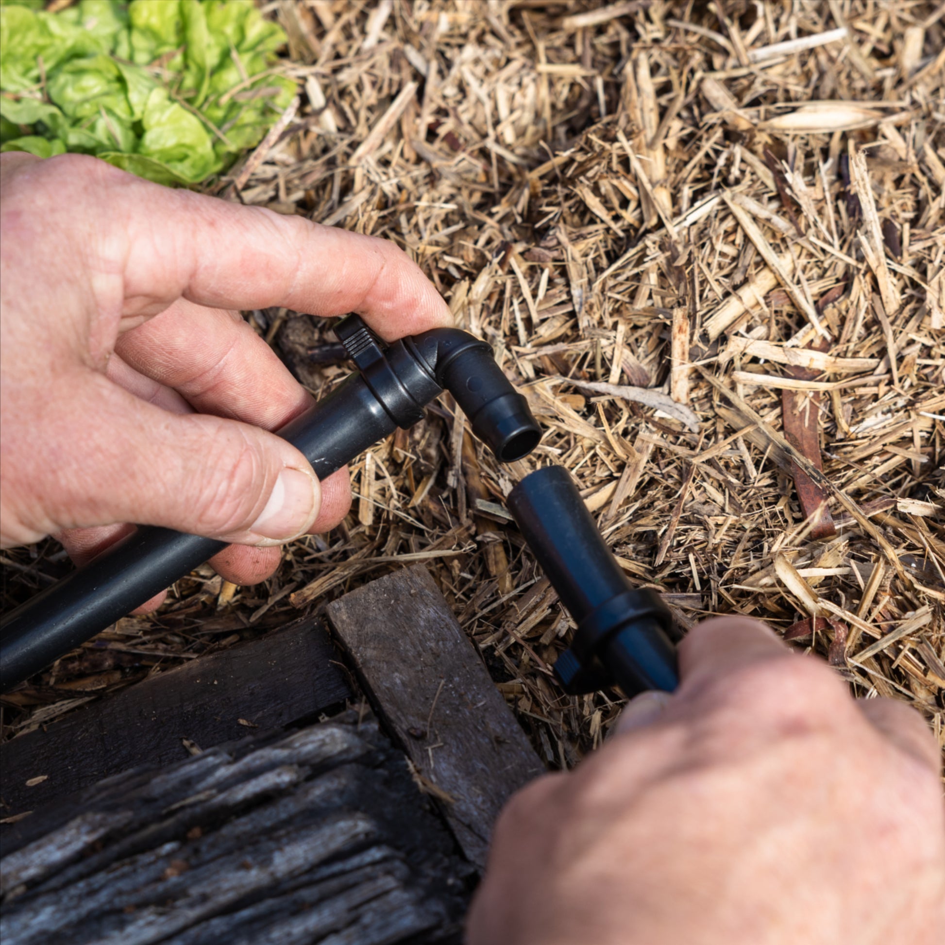 elbow joint beig lined up for nstal into irrigation tubing in a garden bed with straw mulch