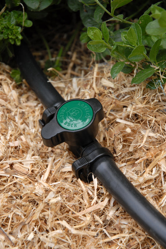 Black poly pipe with a green irrigation valve installed on straw with a plant in the background