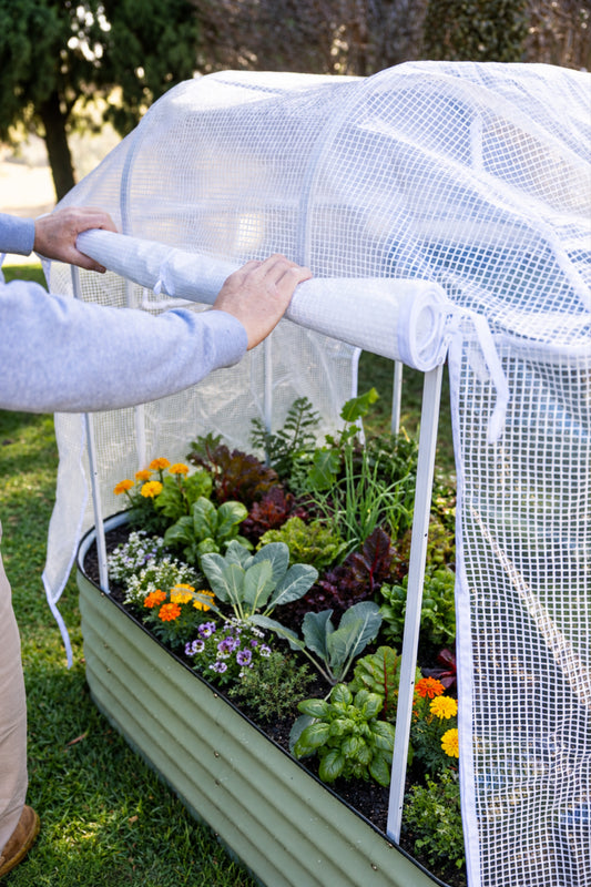 PE cover with the side rolled up to display flowers and vegetables in the garden bed