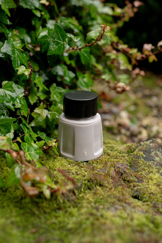 Warm grey Accessory Connector with black End Cap standing upright on mossy stone with green vine leaves in the background 