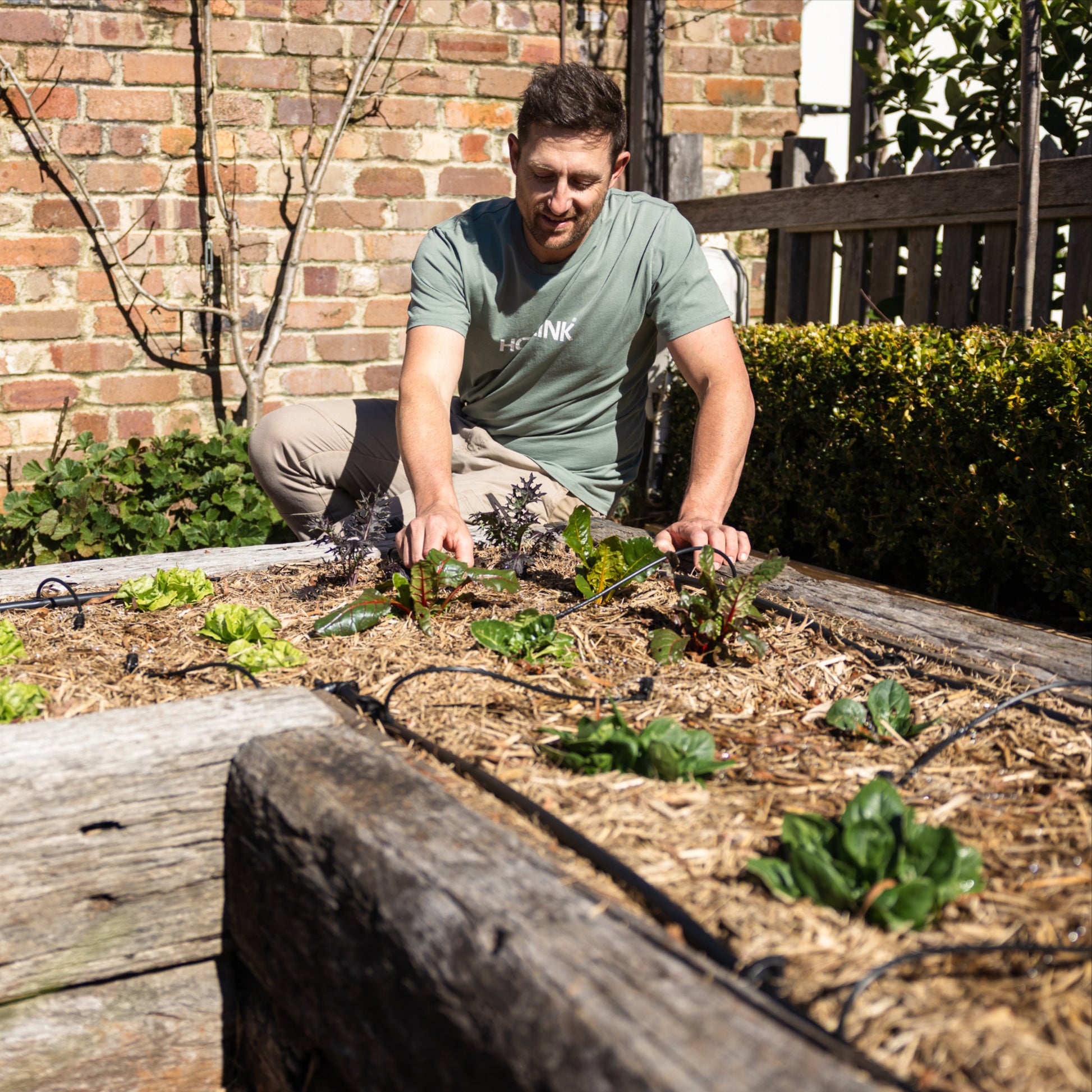 Ben hayman setting up adjustble drip irrigation kit in a garden bed filled with green plants and brown mulch