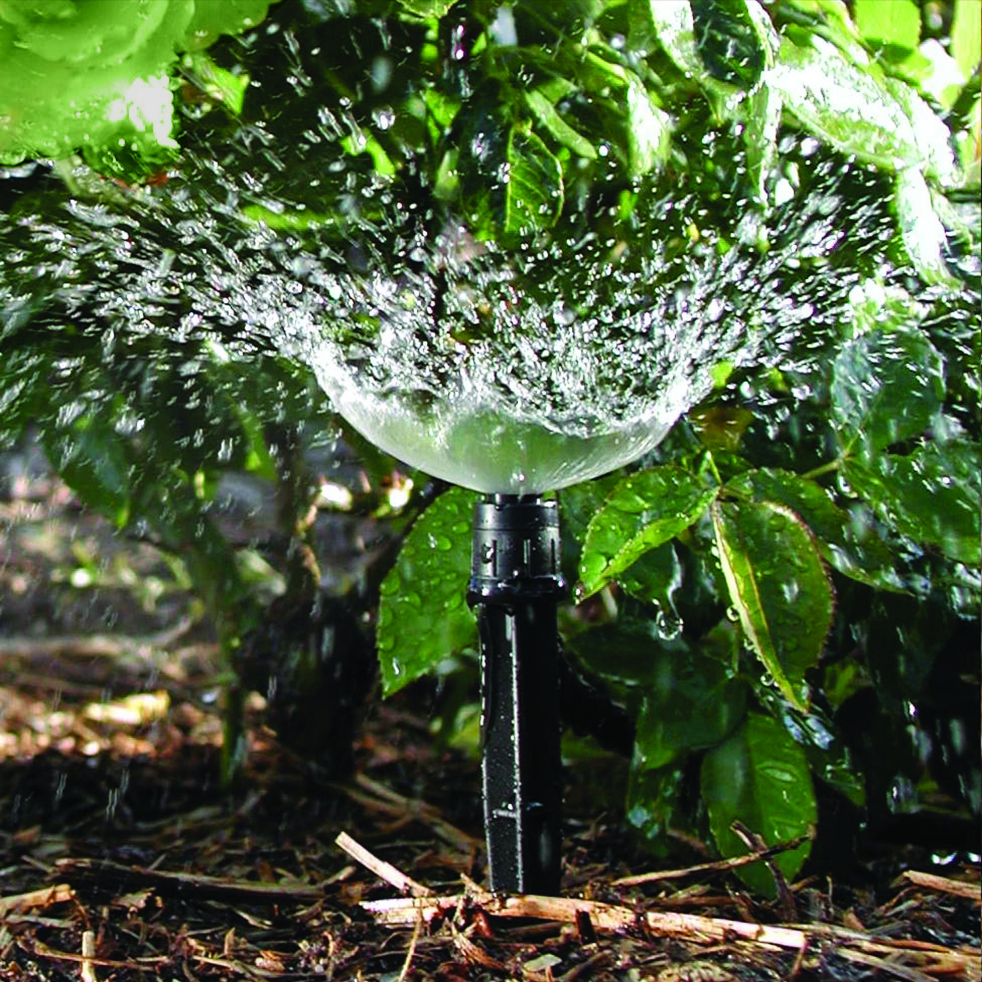 Adjustable spray spike spraying water on green leaves with a natural background