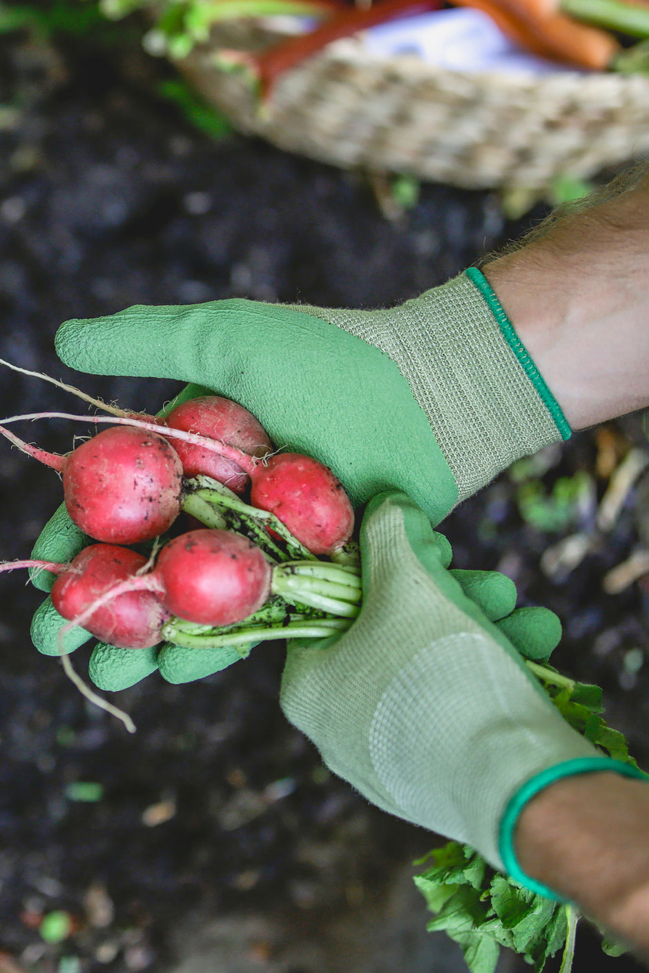 Buy Discount Garden Supply Online Hoselink